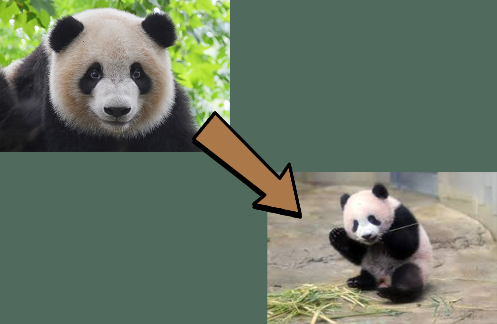 Pandas Compressor